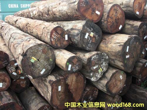 �������}��