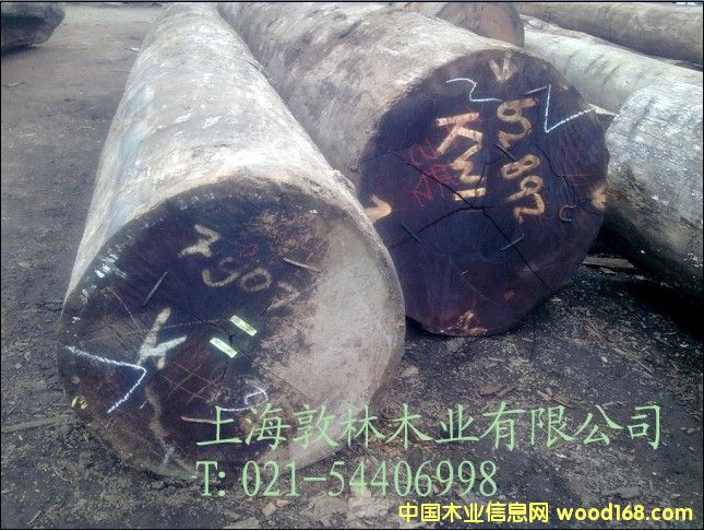 印尼菠蘿格的詳細(xì)介紹