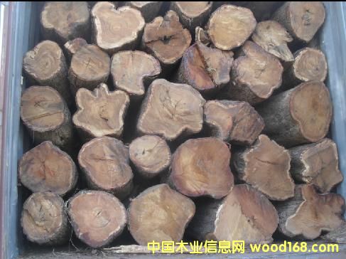 ���޻���ľ��Ԕ����B