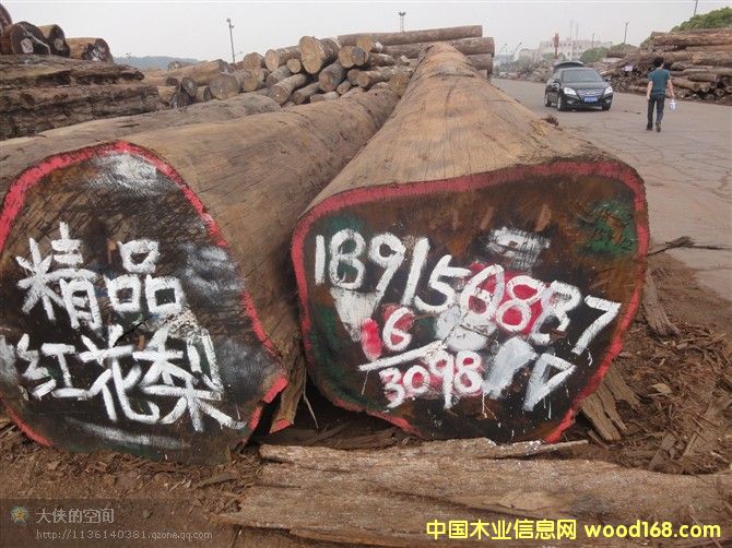 紅花梨的詳細介紹