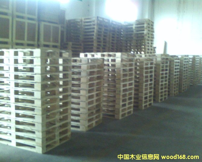 ��(sh��)ľ/�z�ϰ�ľ�бP��Ԕ��(x��)��B