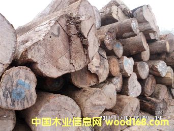 �ϓ���֦ԭľ��Ԕ����B