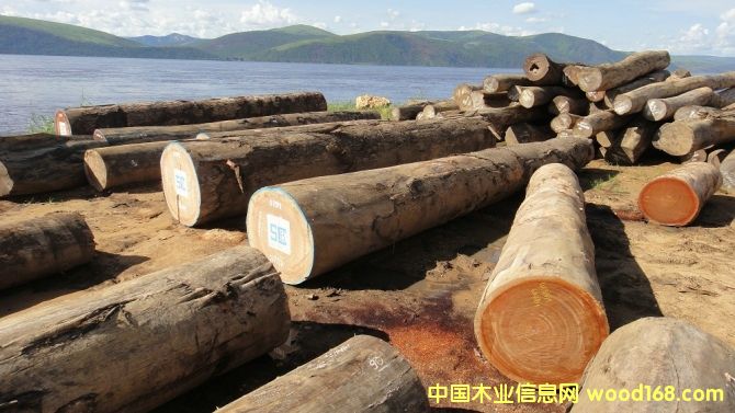 花梨木的詳細(xì)介紹