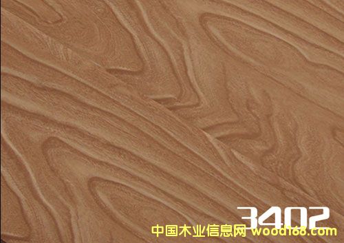 地板的詳細介紹