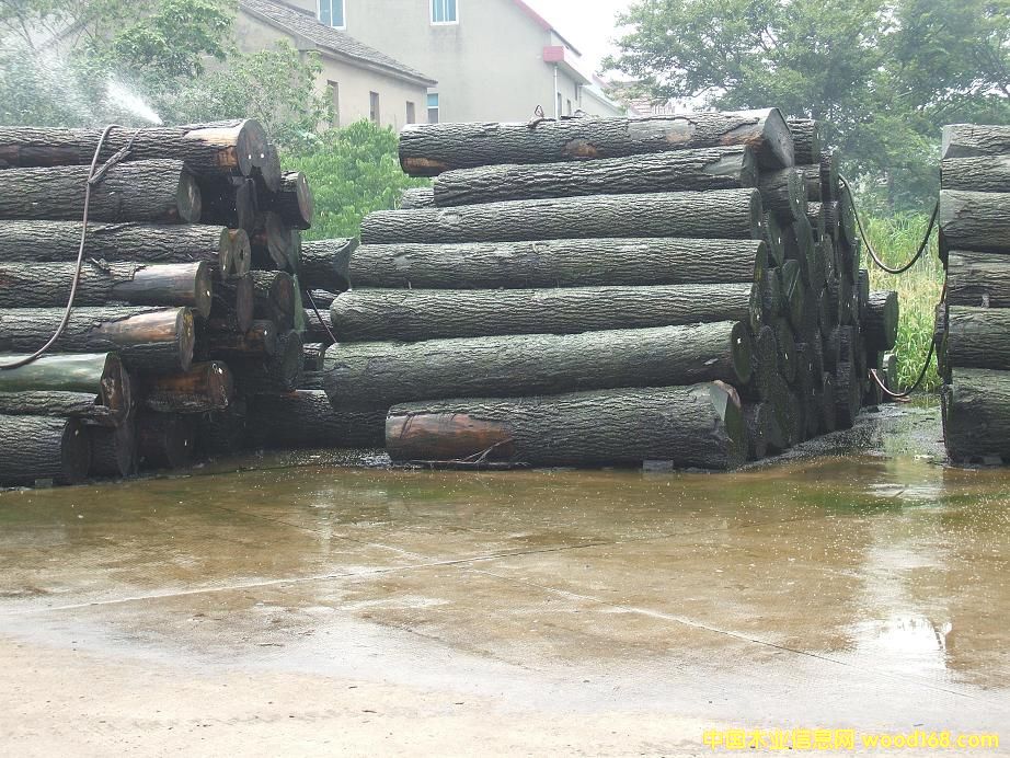 �����ں��ұ���ԭľ�ӹ�����Ԕ����B