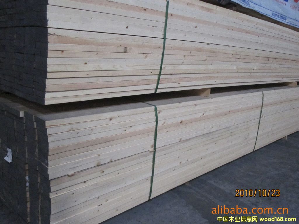 鐵杉的詳細介紹