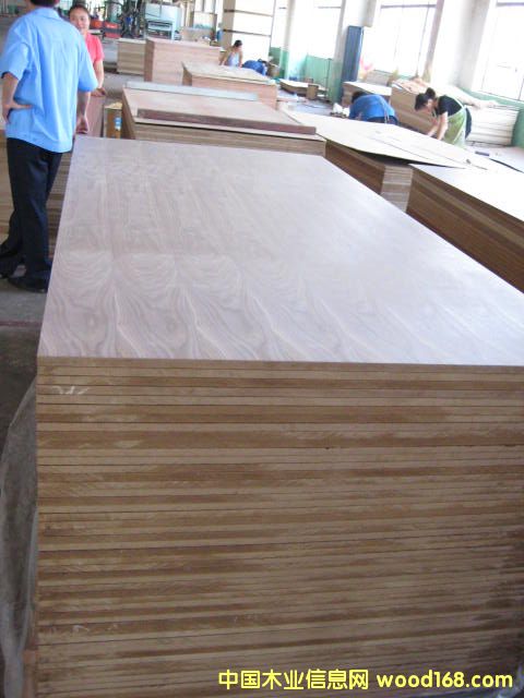 �ں���������ܶȰ�