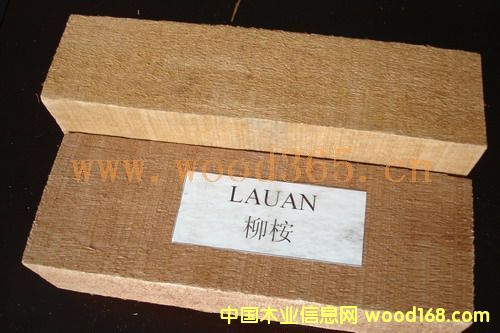 ����ľ��Ԕ����B