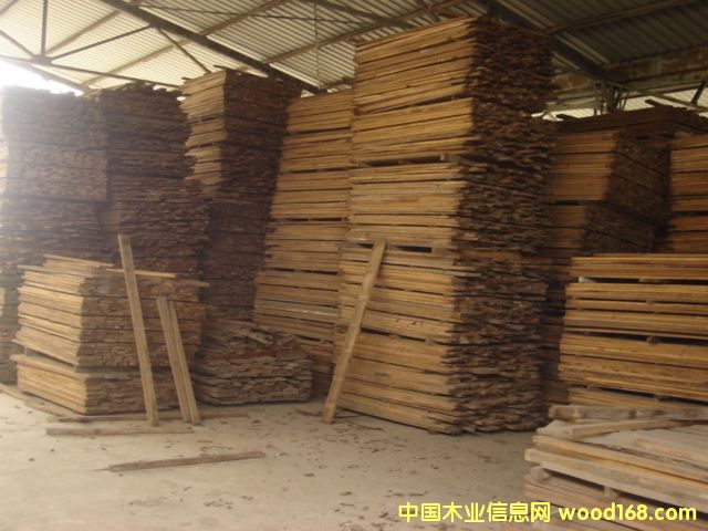 樺木的詳細介紹