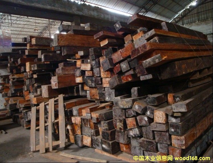 �t��֦��Ԕ����B