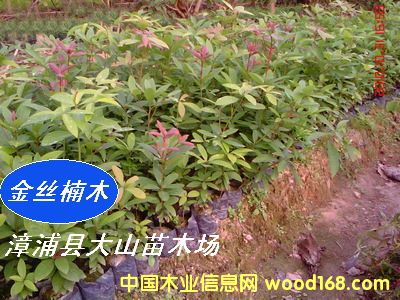 [��] ���ľN�磨�}骡��E骡�С�~骡���骡��ٻ�骡��t骣�