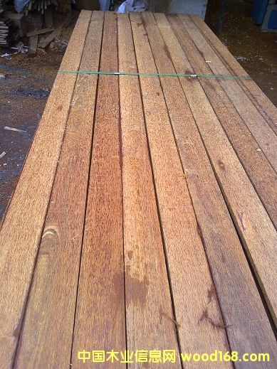 ���}��ذ��ٹ�ĵ�Ԕ����B