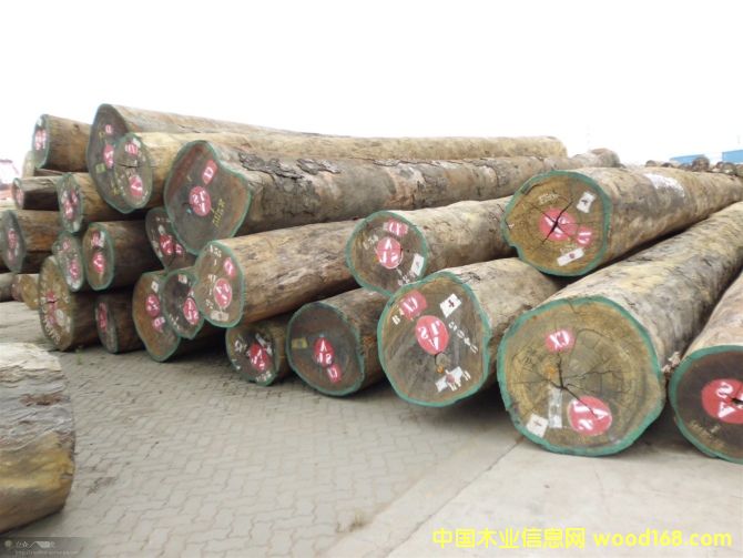 ������Ԕ����B