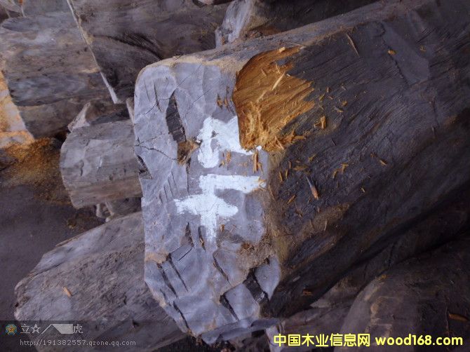 �S̴��Ԕ����B