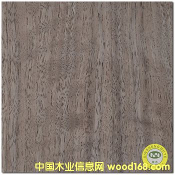 ���V��ʢ����Ȼ��Ӱֱ�y�ں���ľƤ����z�ϰ��Ԕ����B