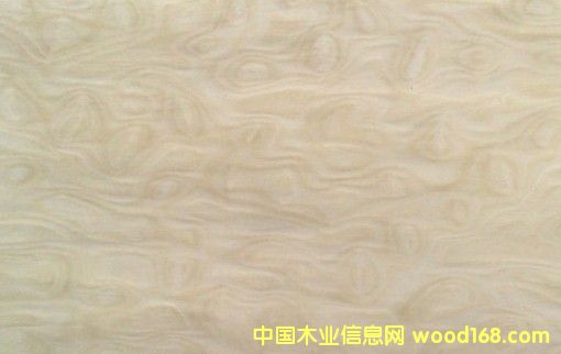 ��Ӱľ�����Ԕ����B