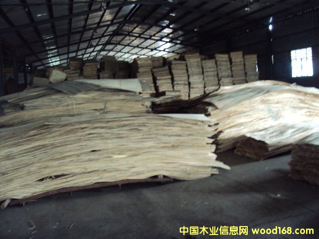 ����(y��ng)���|(zh��)���ӷe�ė�ľLVL��Ԕ����B