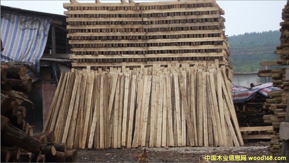 ����ɼľ����Ԕ����B