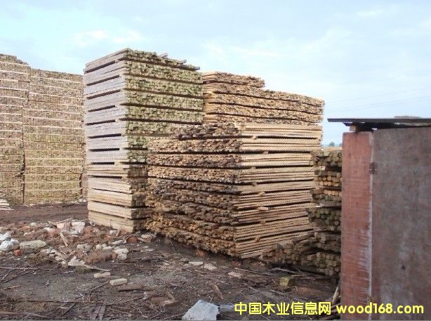 ����ɼľ����Ԕ����B