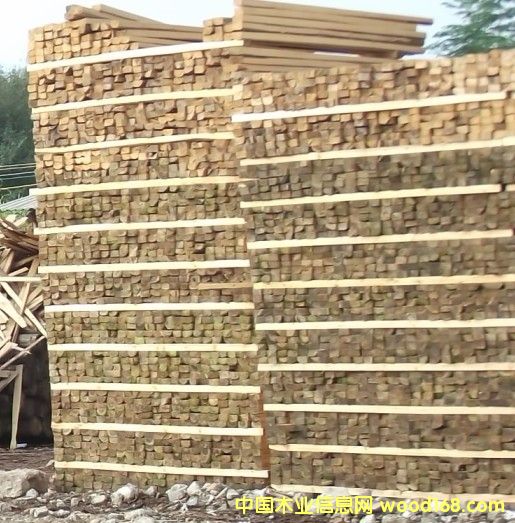 ����ľ����Ԕ����B