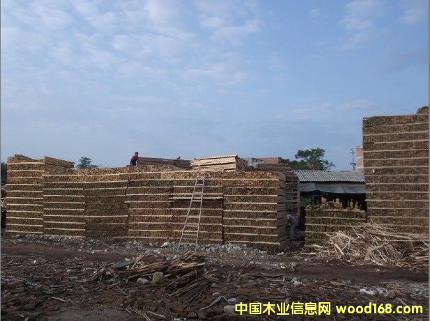 ����ľ����Ԕ����B