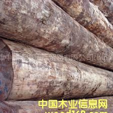 ���l���|�M�ڴ�ֱ���o����ݗ����ԭľ