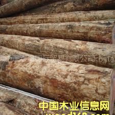 ���l���|�M�ڟo����ݗ����ԭľ