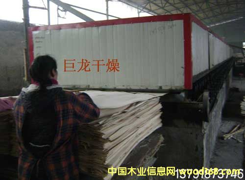 ľƤ��əC��Ԕ����B