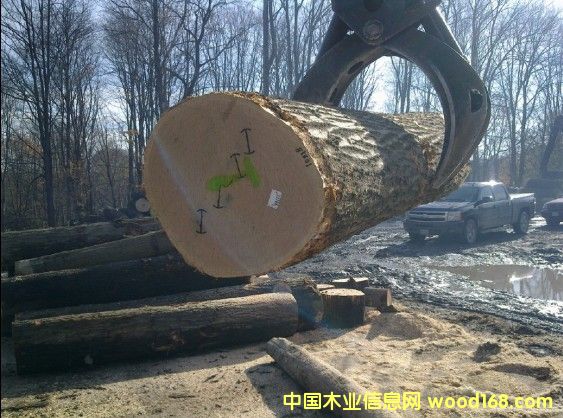 ��ľԭľ��Ԕ����B