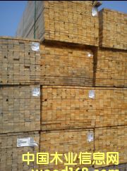 #4 SPF��Ԕ����B