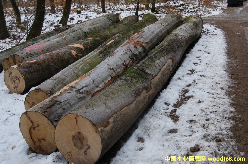 �W�ޙ�ľԭľ��Ԕ��(x��)��B