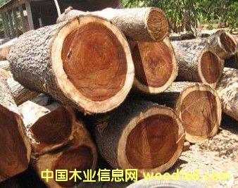 ̩�����zľ��Ԕ����B