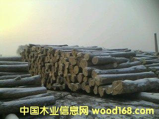 �؃���ľ��Ԕ����B