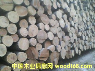 �؃��S���}ԭľ��Ԕ����B