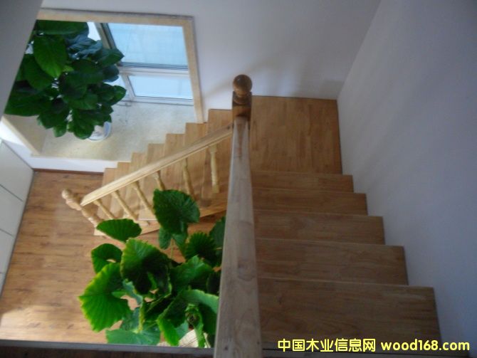 㑲����ݵ�Ԕ����B