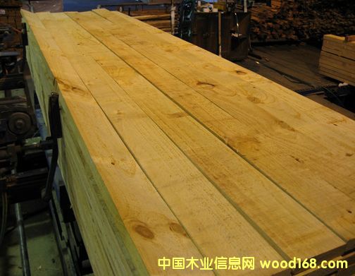 �����m�� ݗ���ɰ�� ��� ��ľ��Ԕ����B