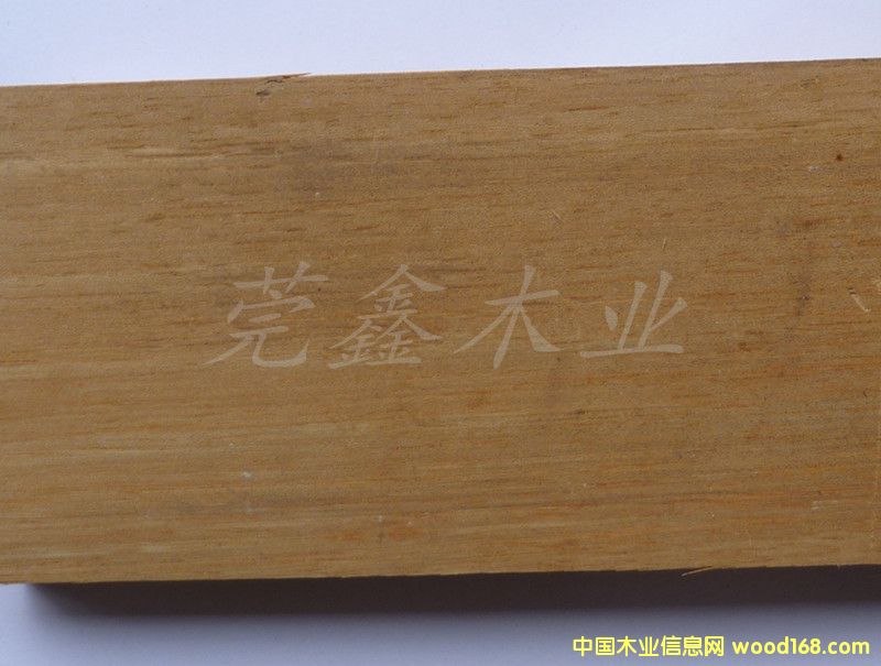 藤黃木的詳細介紹