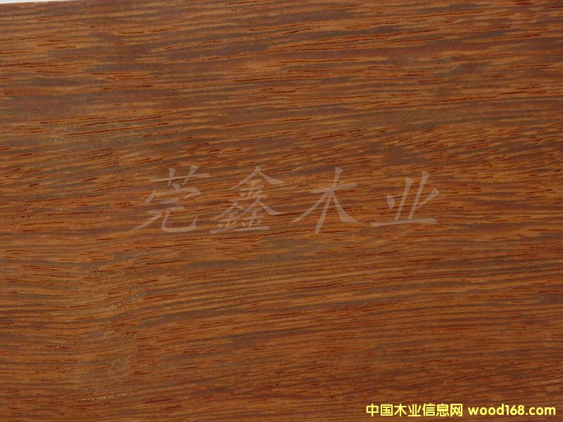 甘藍豆的詳細介紹