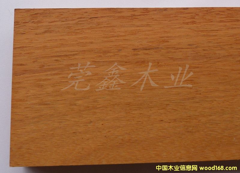 馬蹄豆的詳細介紹