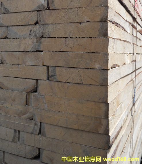 ������Ȼ��