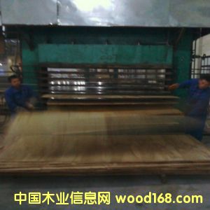 E0�oȩ��ľ�����Ԕ����B