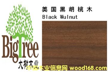 �����ں��ҵ�Ԕ����B