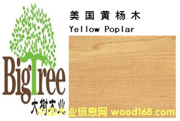 �����S��ľ��Ԕ����B