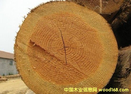 �M(j��n)�ڻ�����ԭľ