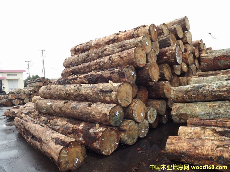 �����mݗ����ԭľ