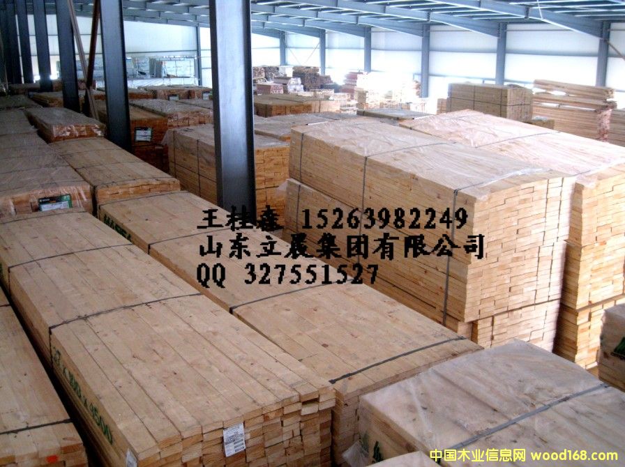 �����mݗ���ɟo����