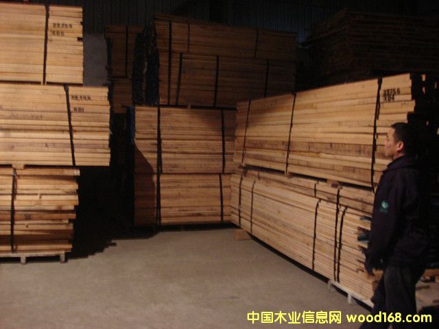 �����t��ľ�������ģ�