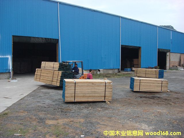 �µ��������t��ľ