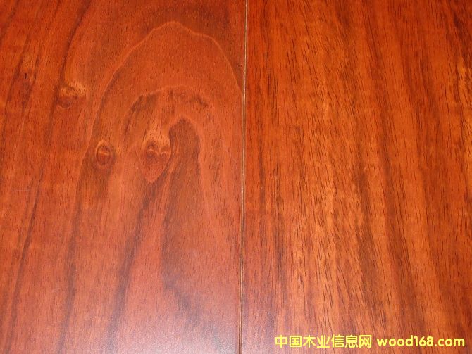 �t̴���Ԕ����B