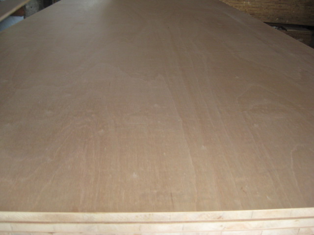 �R����ľ�����Ԕ����B